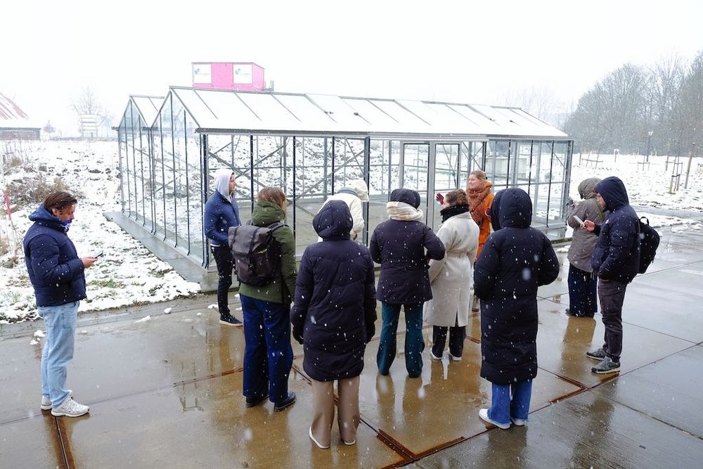 Marlies de Jong – van der Hilst leidt een groep studenten rond over de Zernike Campus bij de kas en het voedselbos – Fotograaf Otto Lussenburg