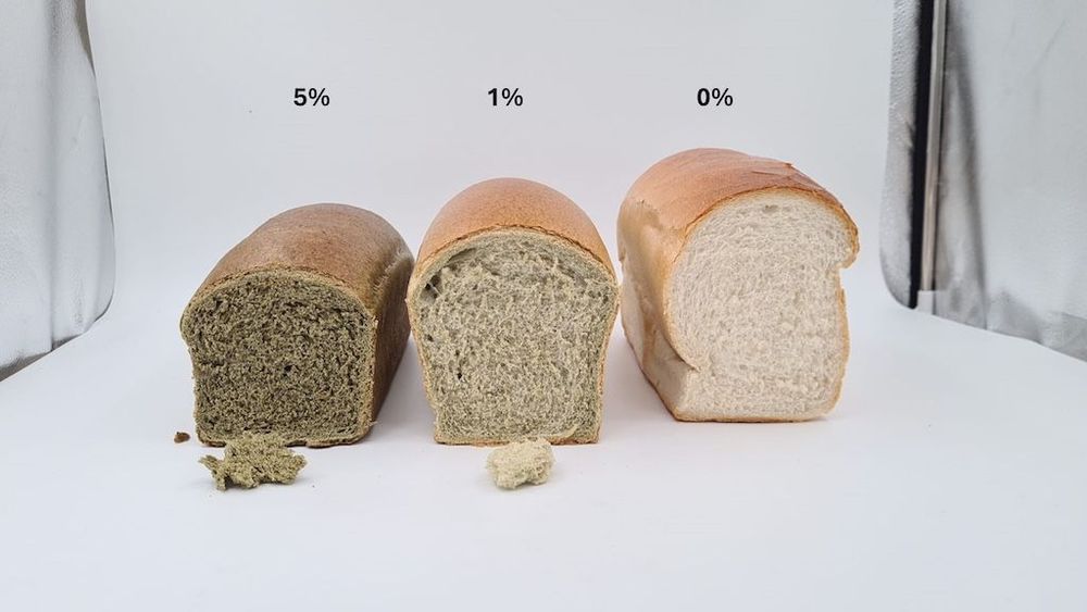 Brood met waterlinzen aangepast